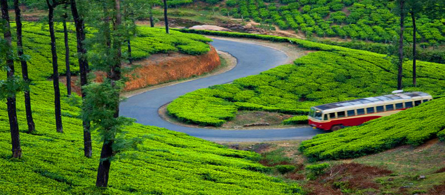 Munnar Tour, Munnar Attractions, Best Tour Company - Namasteholiday