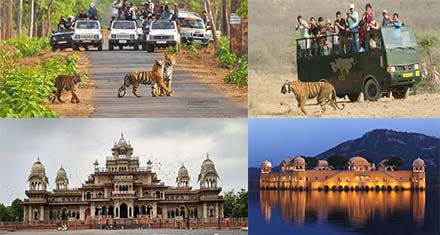 One of the famous wildlife parks of India- Ranthambore National Park for jungle safari especially tiger. It can be visited along with Jaipur in 3/4 days trip