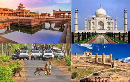 01 day tour sightseeing of Jaipur, Delhi, Agra, Pushkar, Ajmer, Jaisalmer, Jodhpur, Bikaner