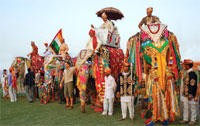 Elephant Festival, Jaipur