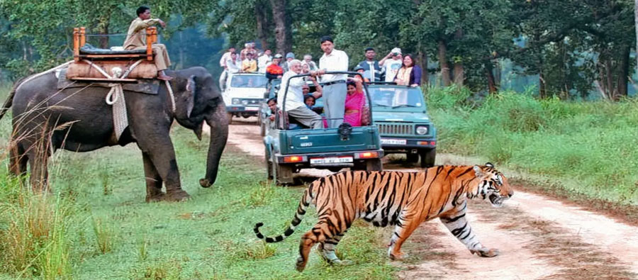 Jim Corbett National Park