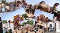 Nagaur Fair, Nagaur