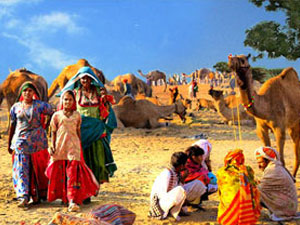 jaipur to pushkar tour package pushkar day tour pushkar branhma temple ajmer tour