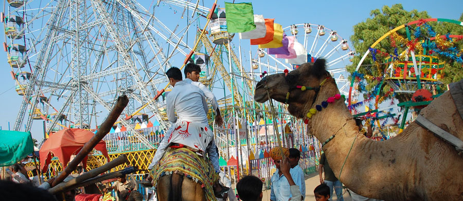 Pushkar Fair Tour Packages