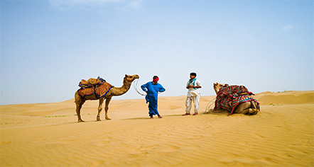 desert safari or camel safari on sam sand dunes, desert part of jaisalmer